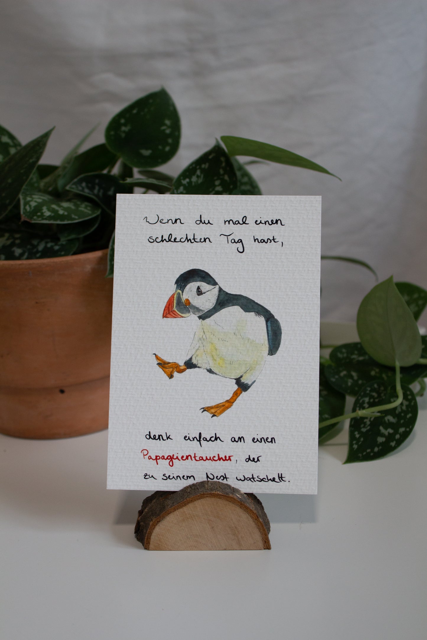 Karte Papageientaucher