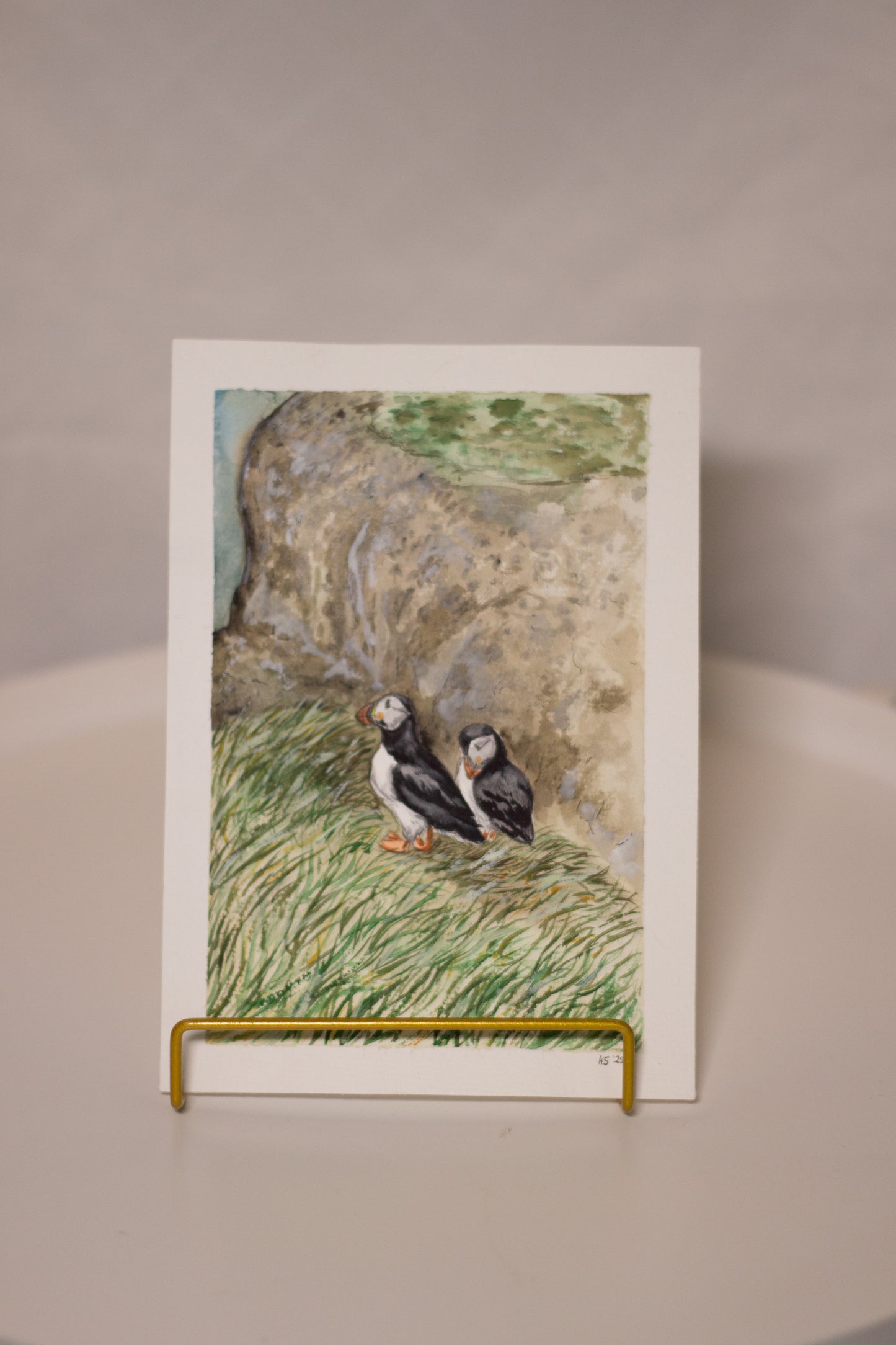 Papageientaucher Landschaft