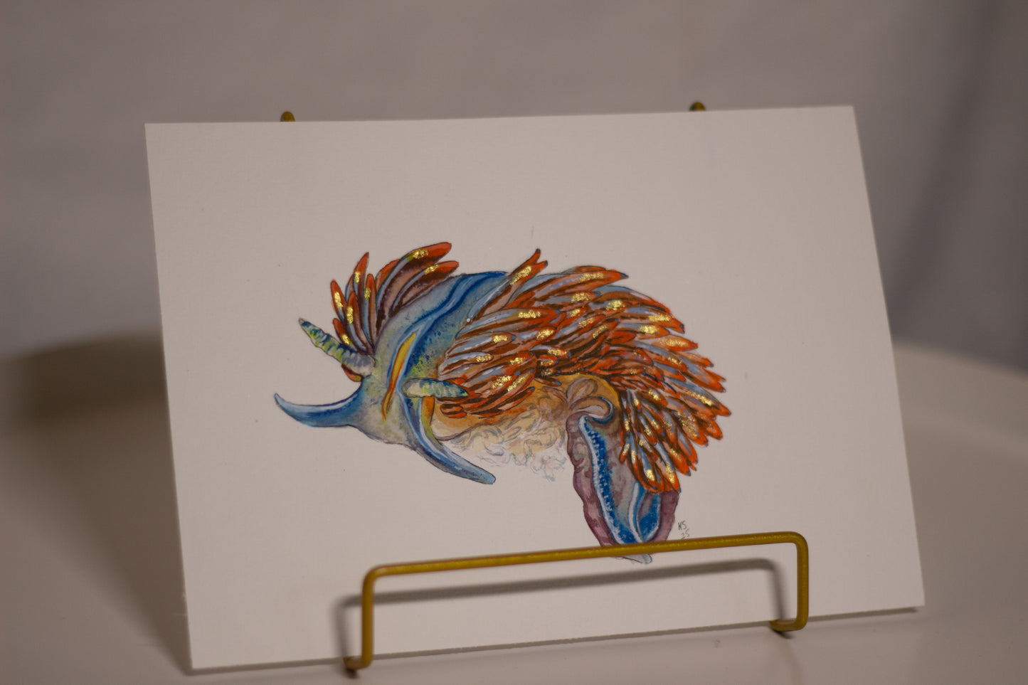 Meeresschnecke (Nudi)