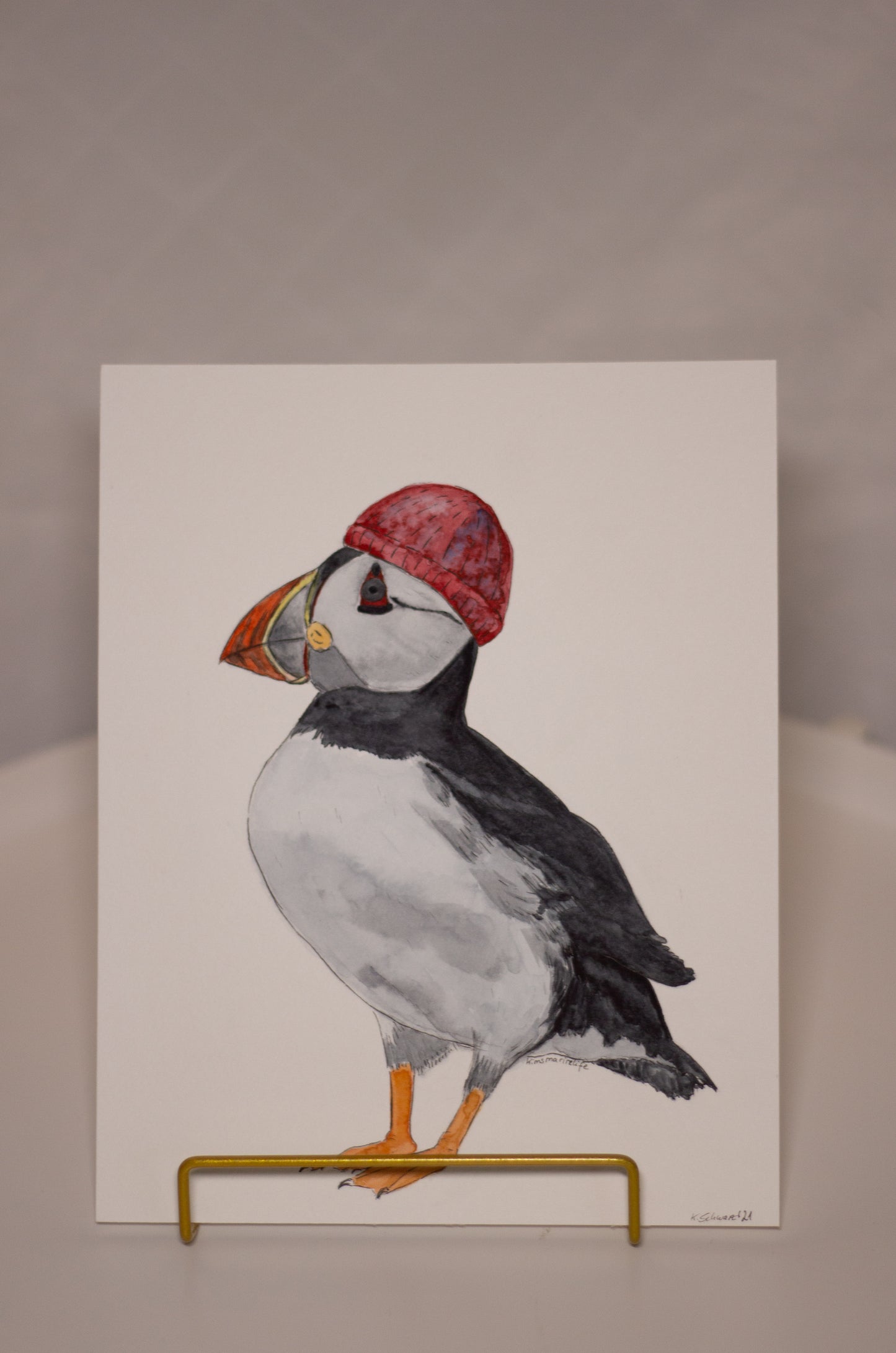 Papageientaucher mit Mütze