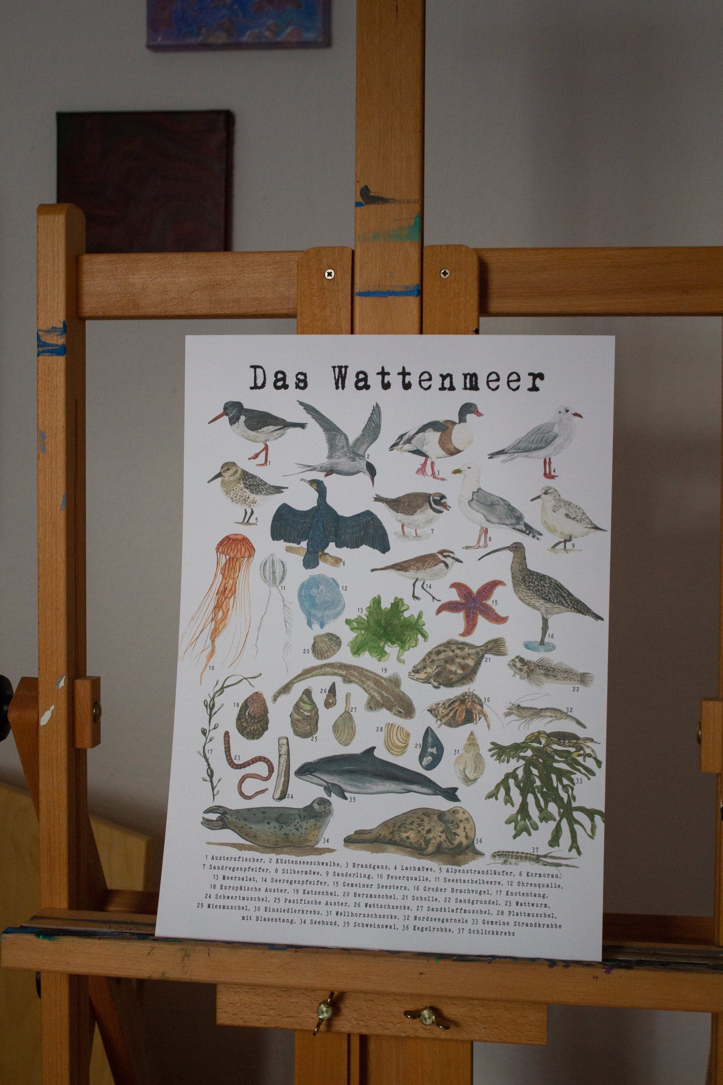 Poster Tiere des Wattenmeers mit maritimen Illustrationen