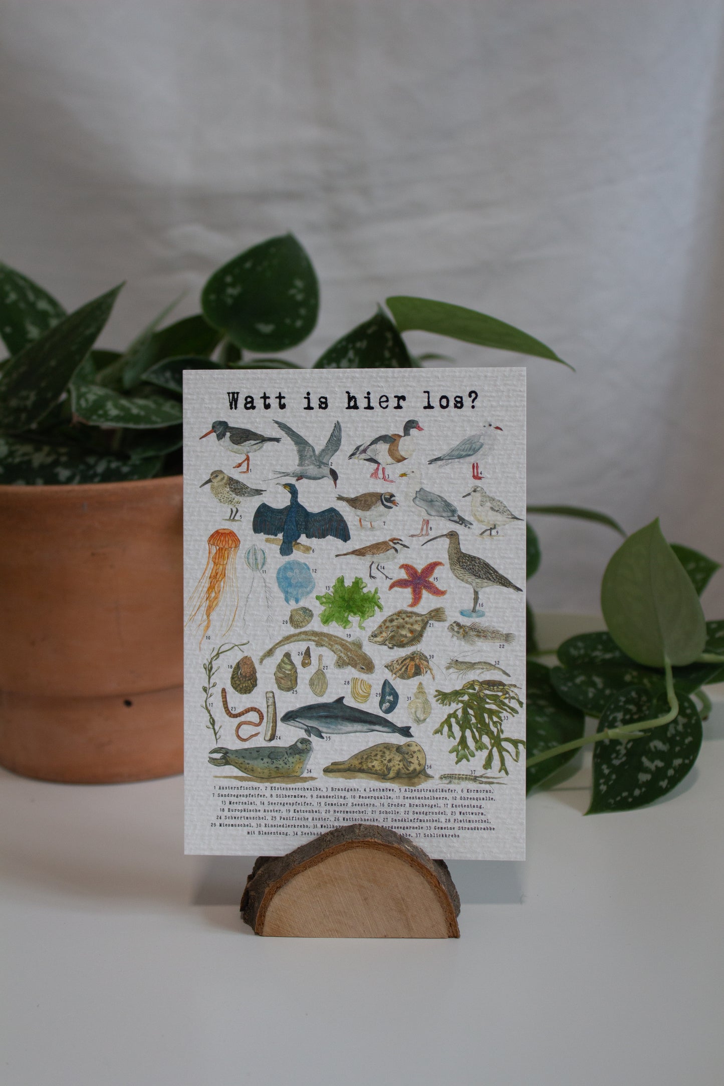 Karte "Watt is hier los?"