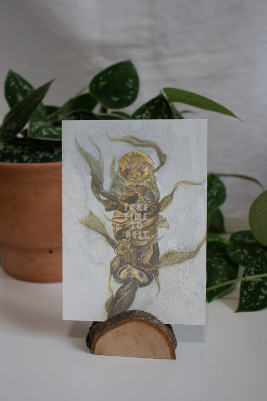 Karte "take time to nest"