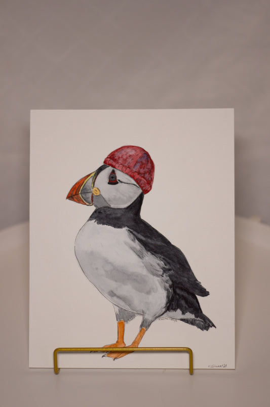 Papageientaucher mit Mütze