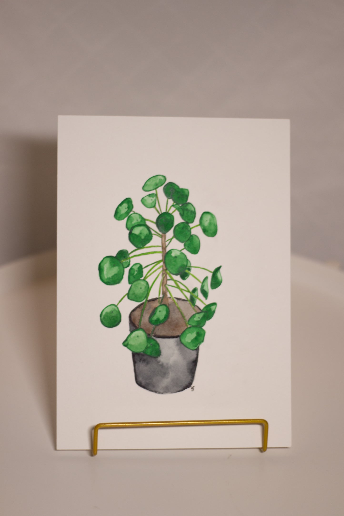 Geldpflanze/Ufopflanze