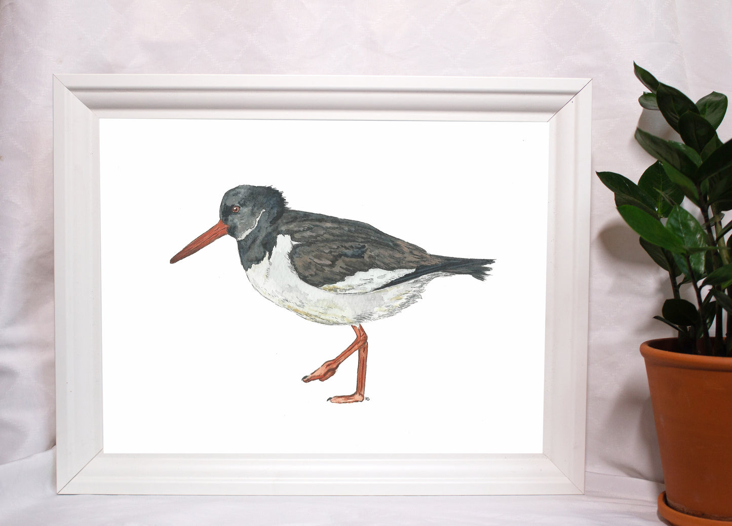 Austernfischer Kunstdruck