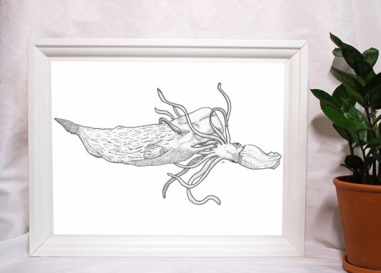 Pottwal Riesenkalmar