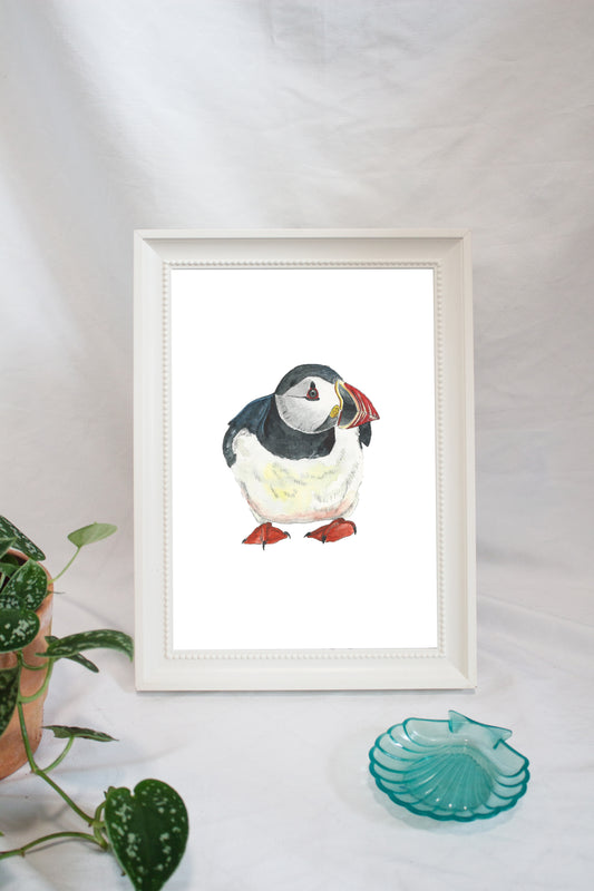 Papageientaucher / Puffin Nr. 1