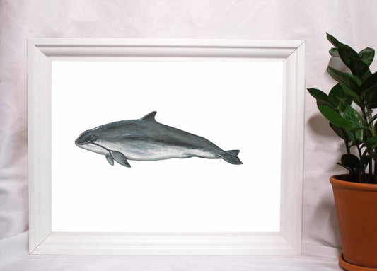 Schweinswal Kunstdruck